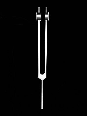 54 Hz Weighted Tuning Fork