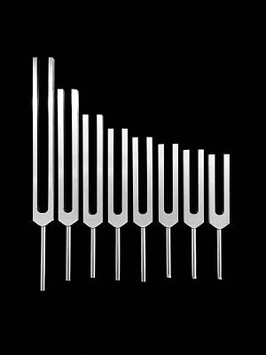 Unweighted Tuning Fork Set