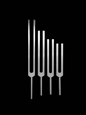 Unweighted Tuning Fork Set